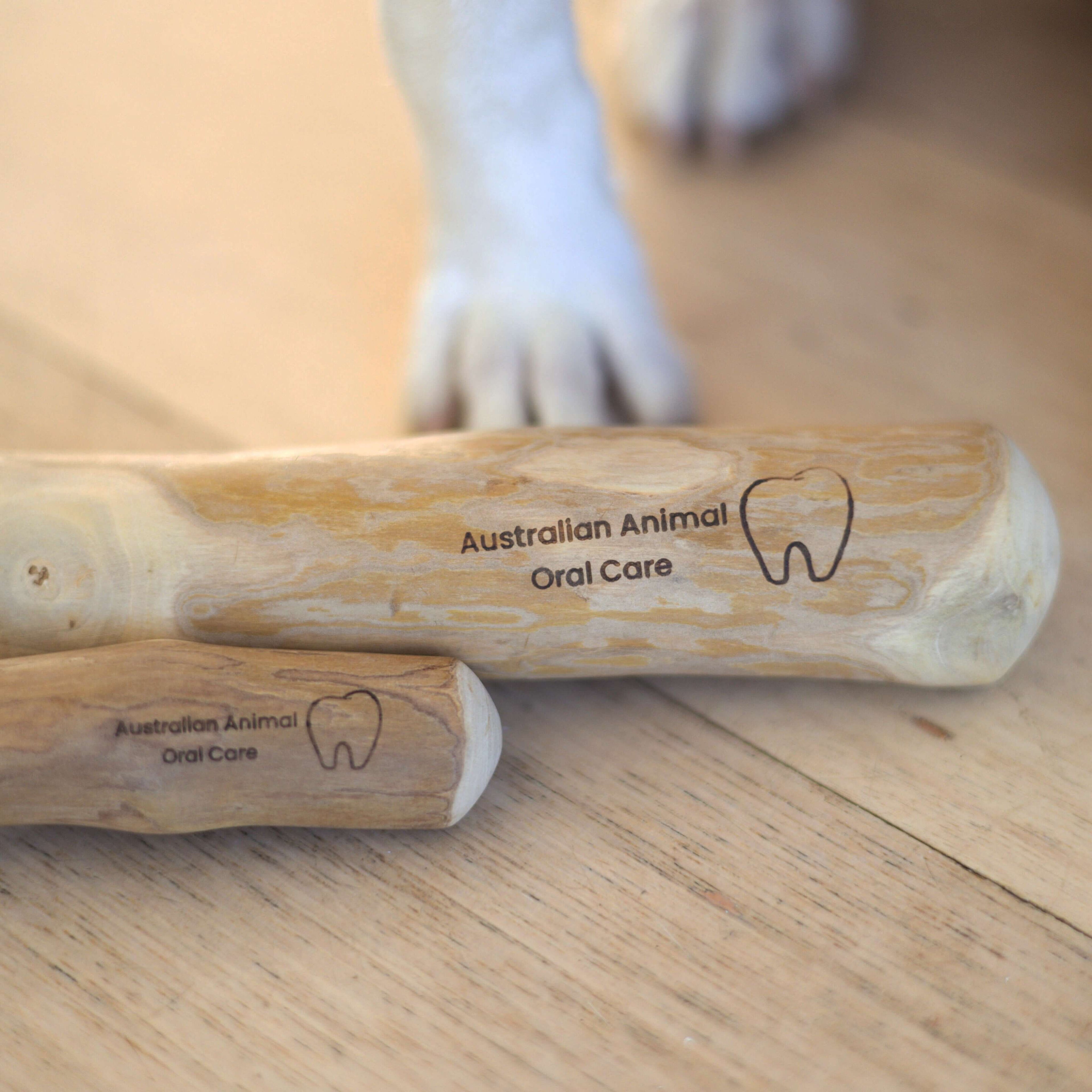 Coffee Wood Dental Chew
