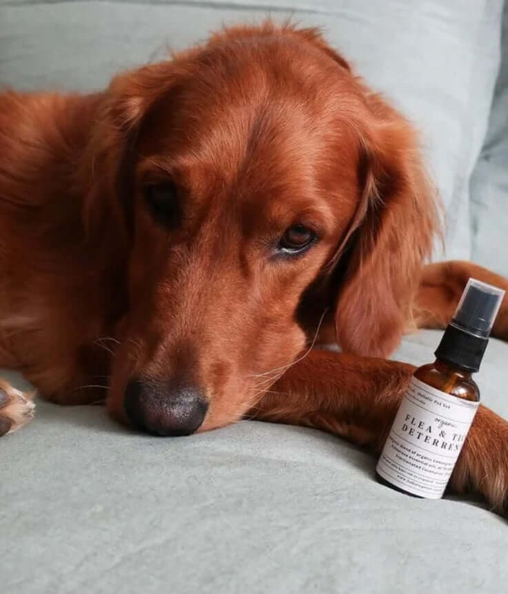 Tick and Flea Remedy