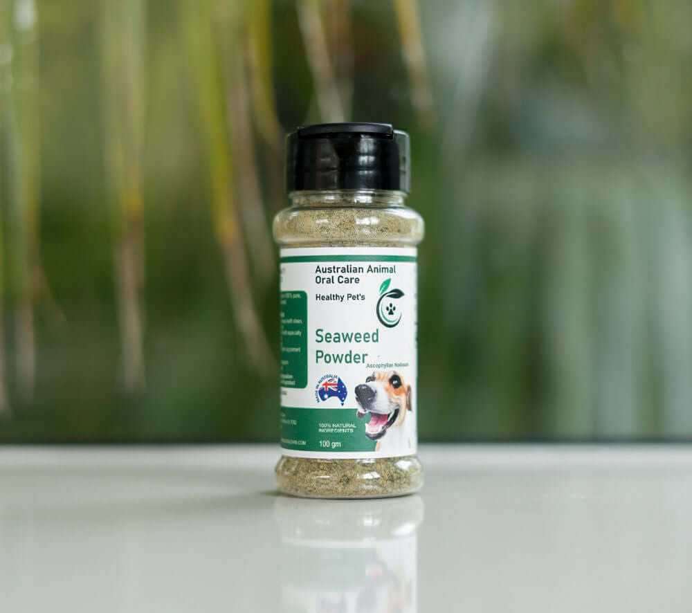 Dental Seaweed Powder 
