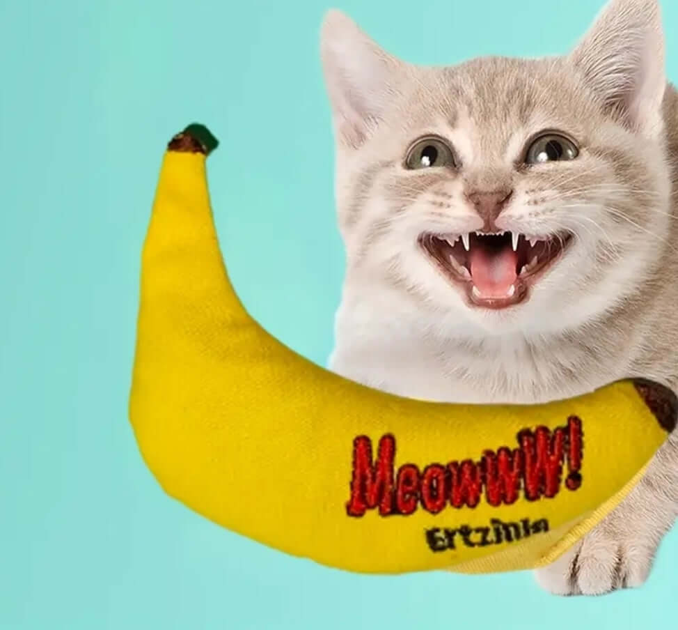 Banana Cat Nip toy for Cats