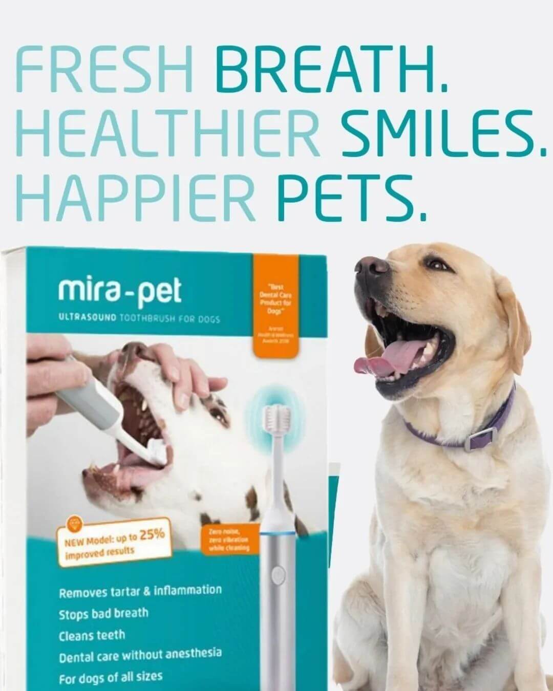 Mirapet Ultrasound Bundle 