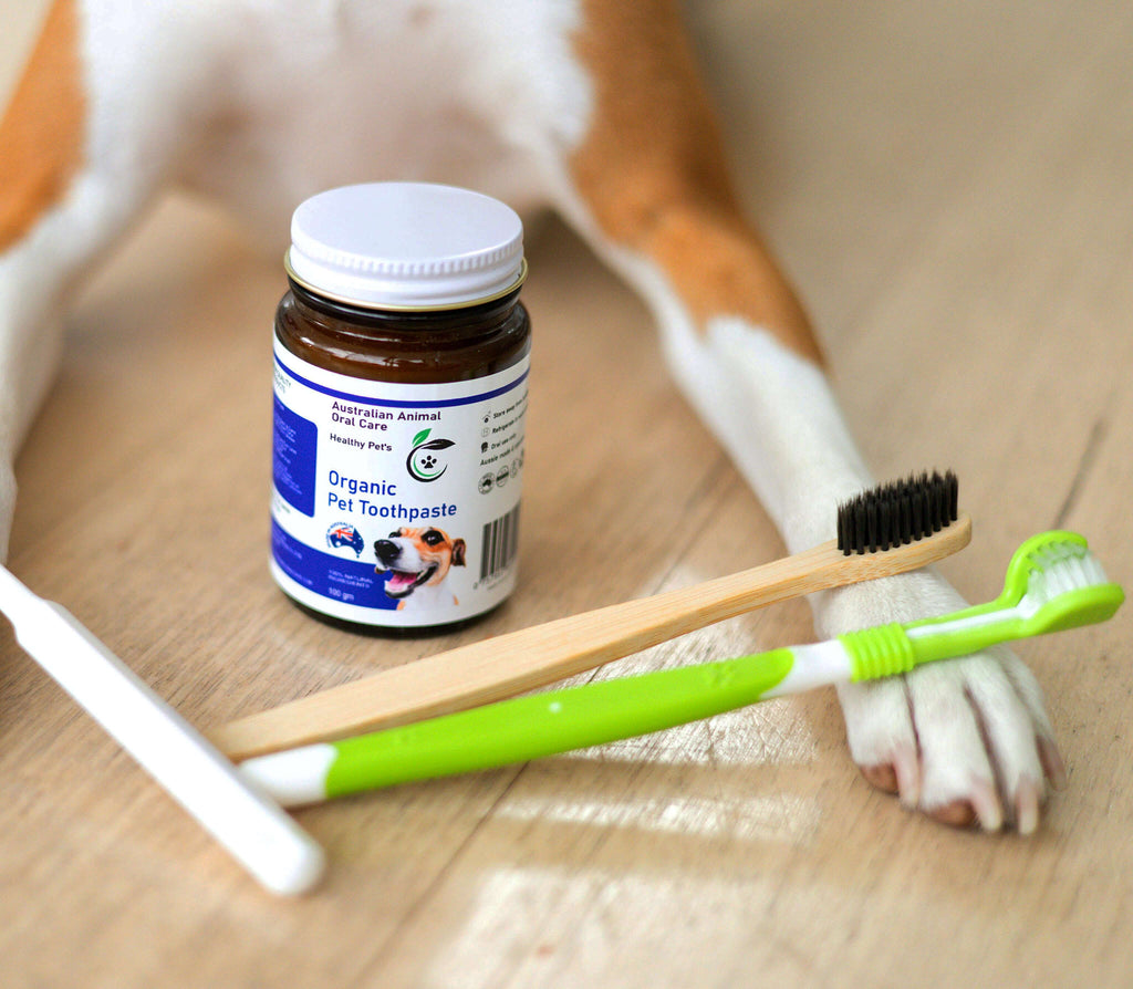 Dog with organic toothpaste and Toothbrushes 