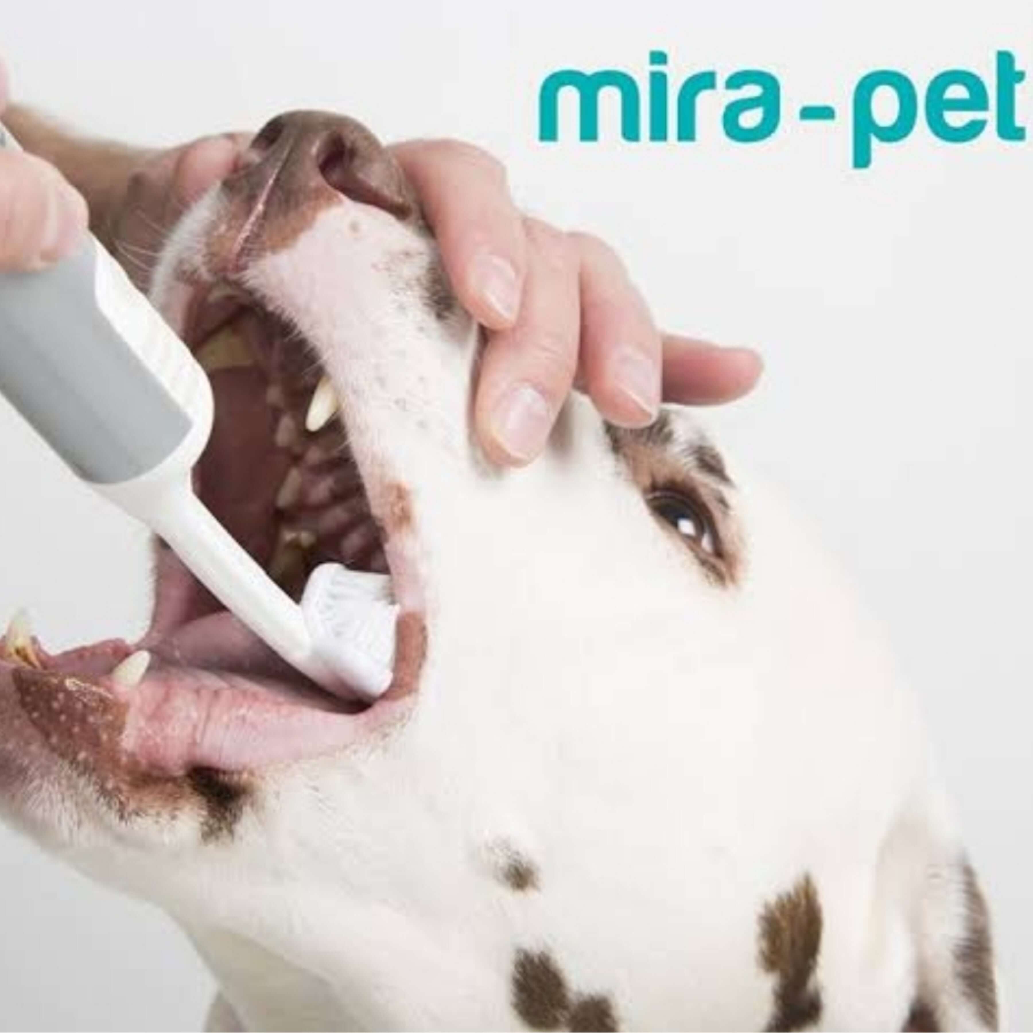 Mira Pet Professional Starter Kit
