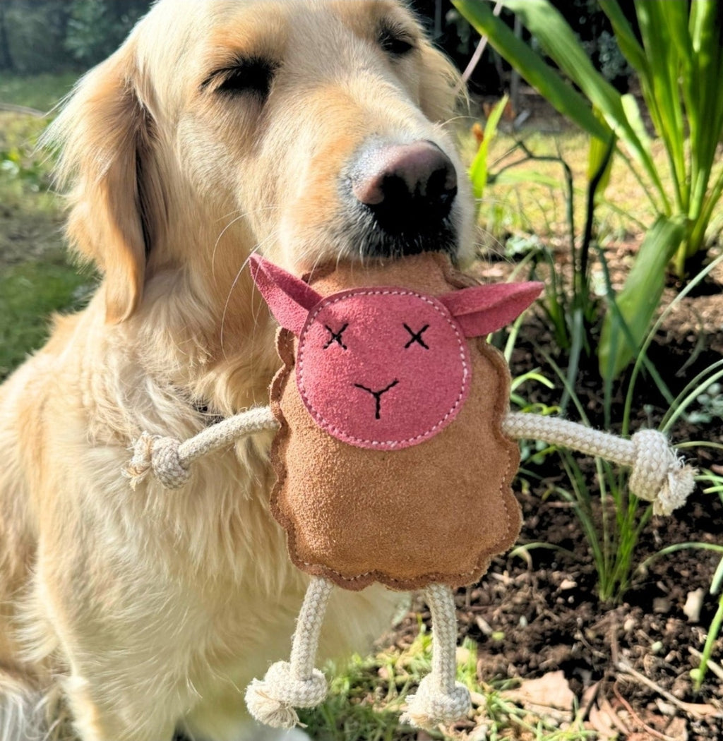 Mary the Lamb Chew Toy