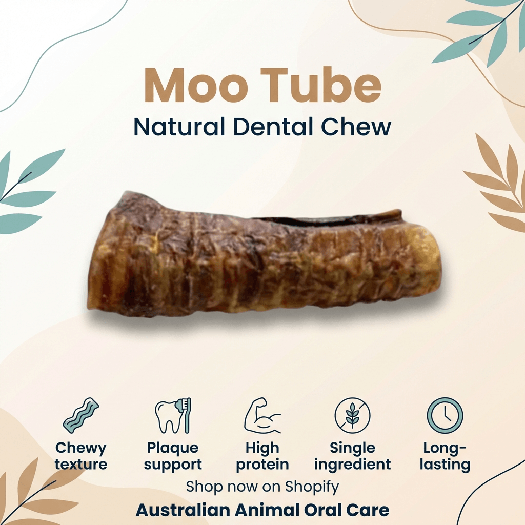 Moo Tube Dental Chew
