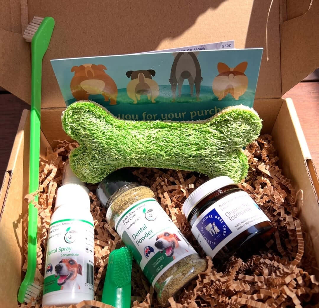 Pet Dental Kit