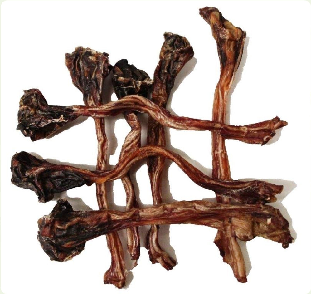 Kangaroo Tendon Chews