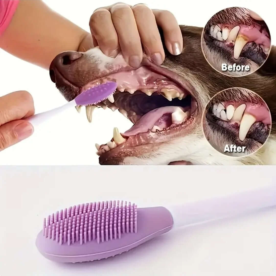 Pet Toothbrush
