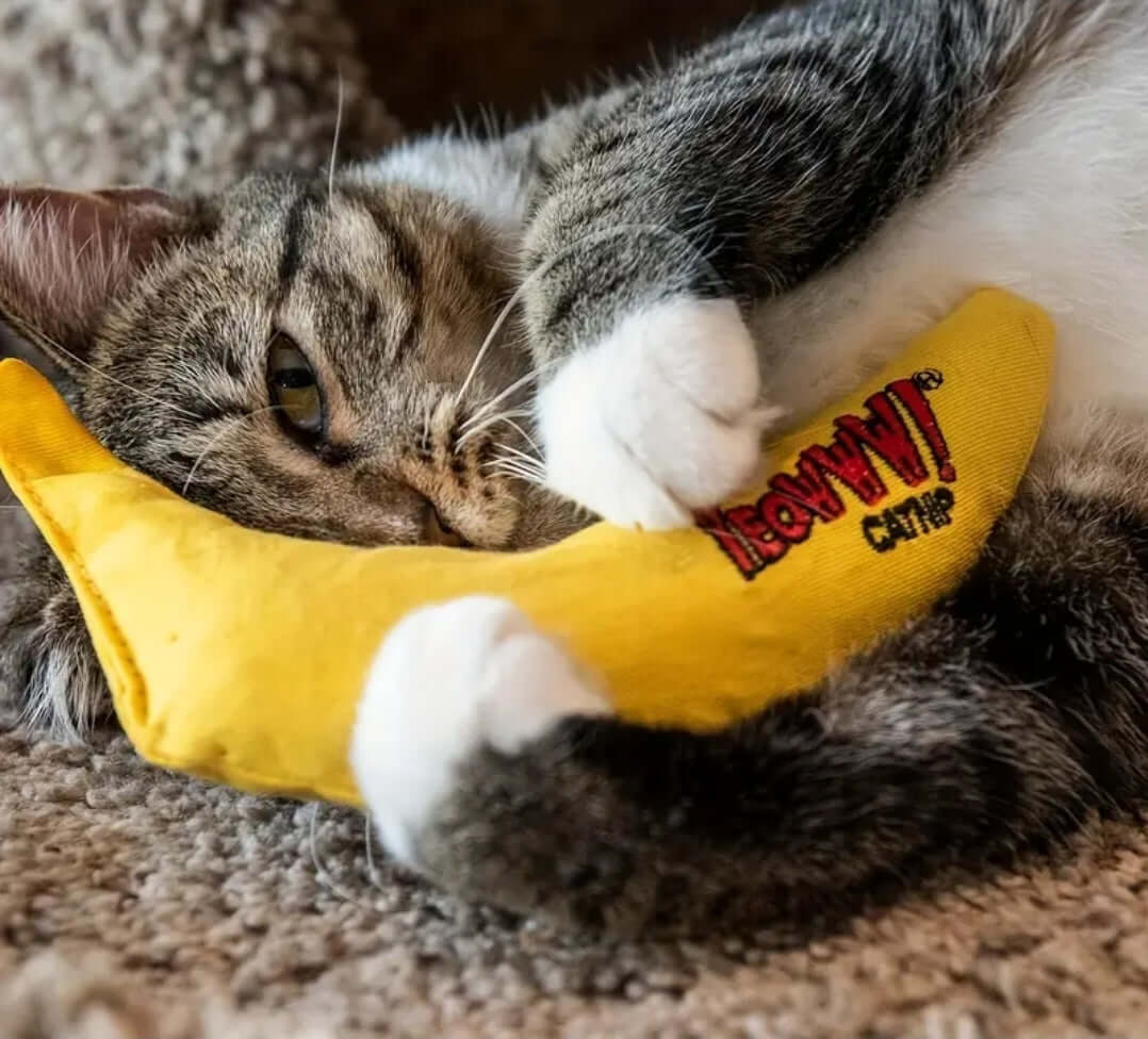 Banana Cat Nip toy for Cats
