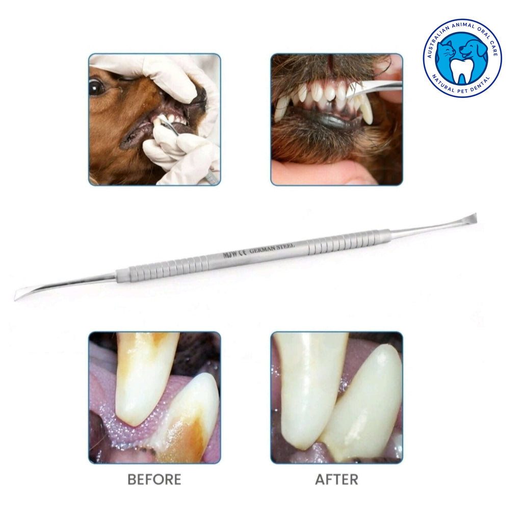 Dental scaler for dogs