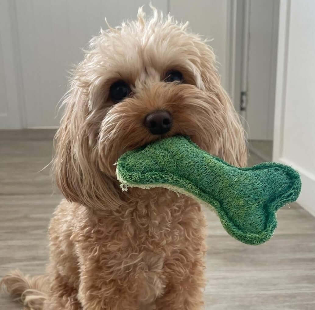 Dog Chewing Loofah Bone