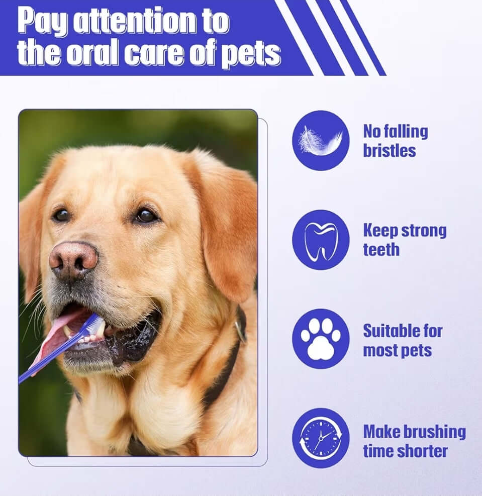 Small Pet Toothbrush ensuring no falling bristles and strong teeth for dogs and cats.