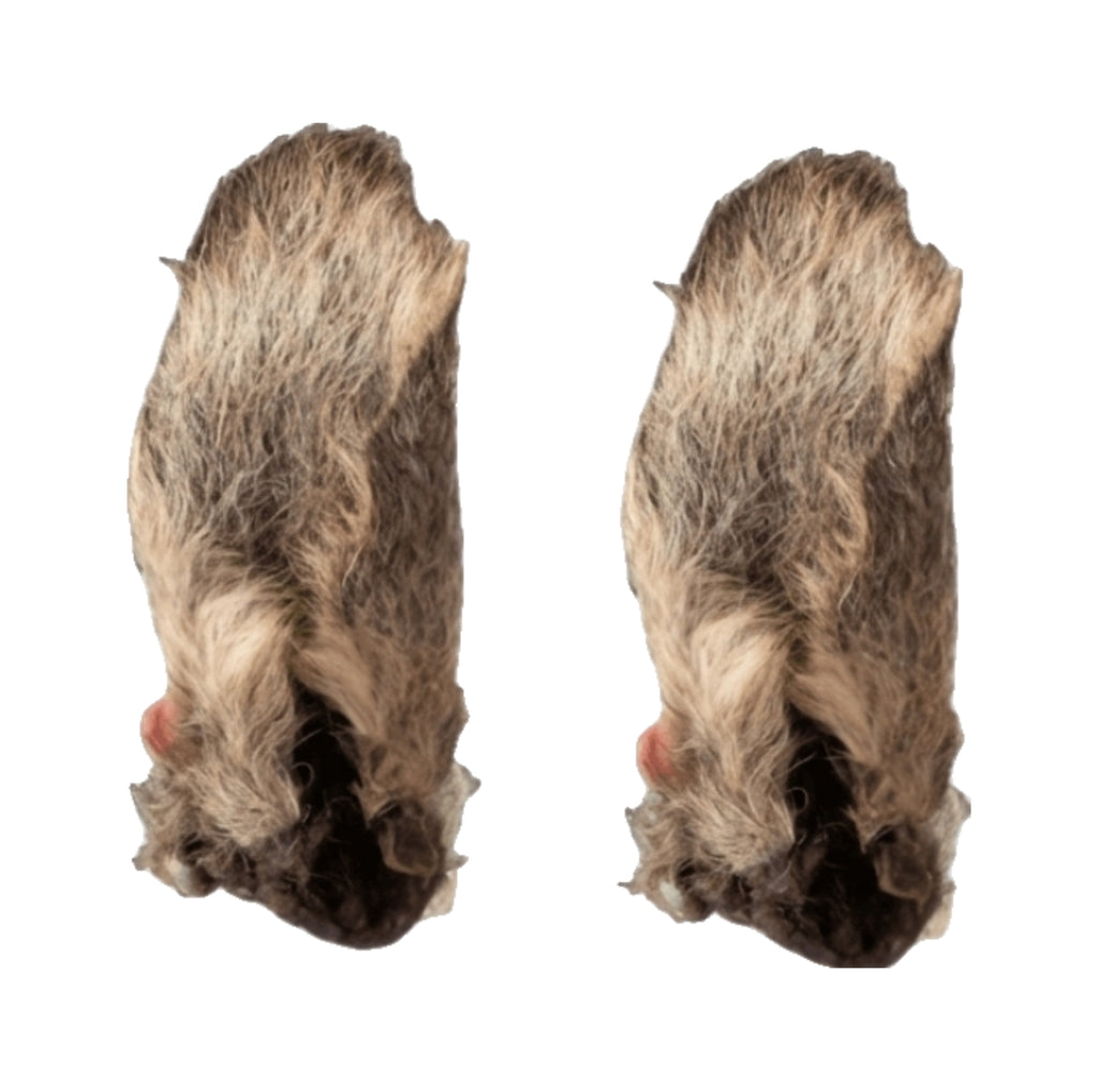 Kangaroo Ears with fur