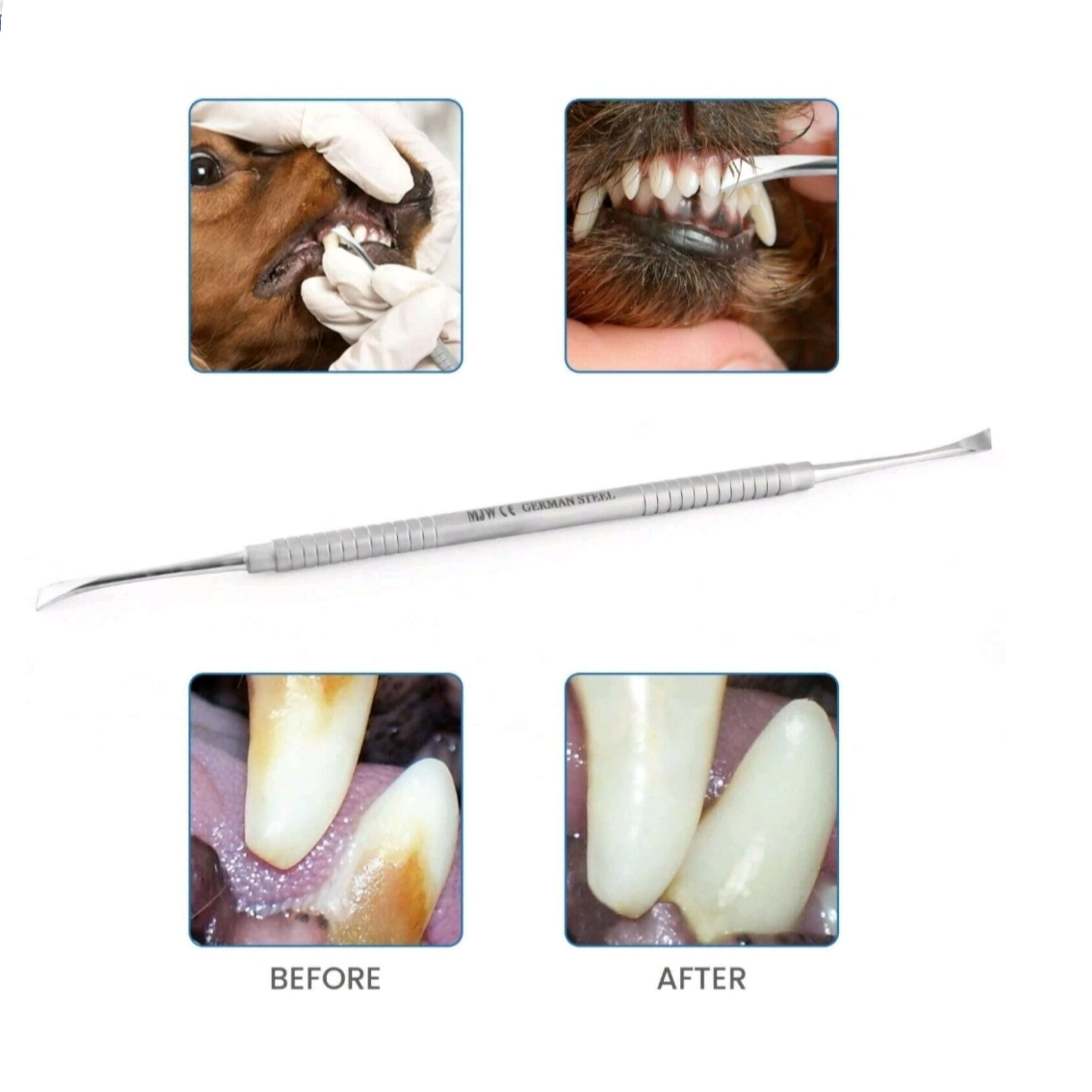 Dental Scaler Flat Edge