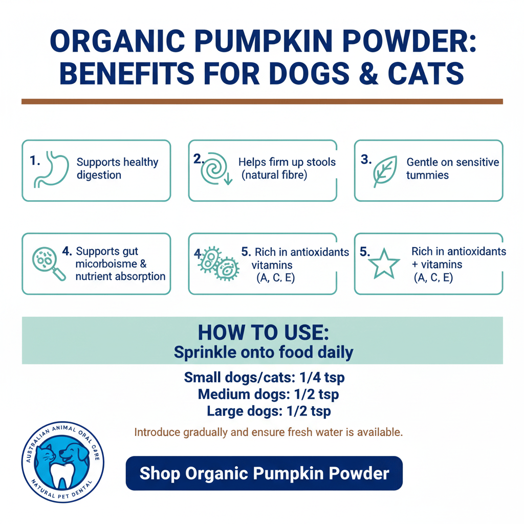 Benefits of Organic Pumpkin powder for pets