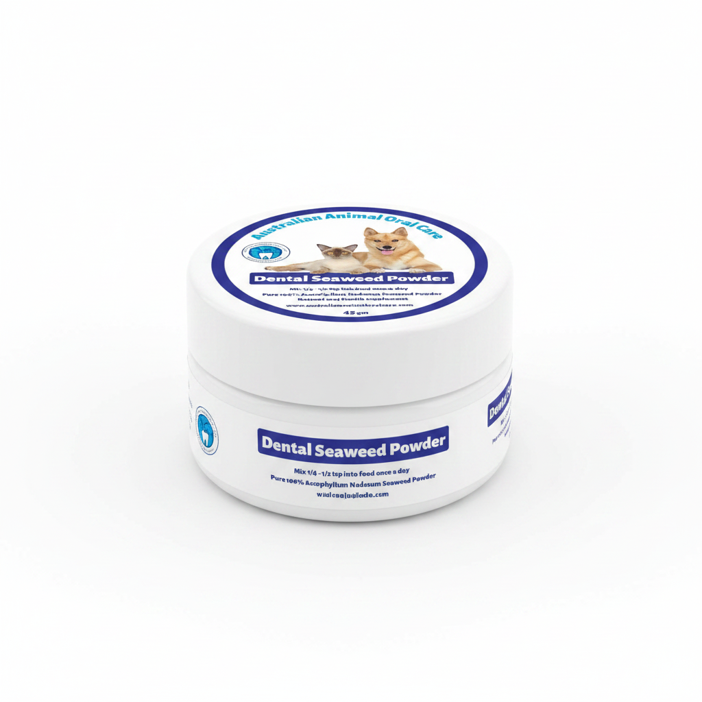 Dental Seaweed Powder -  Ascophyllum Nodosum