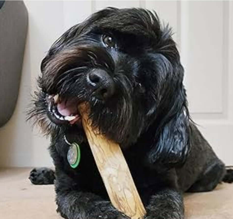 Dog Chewing Coffee Wood Dental Chew