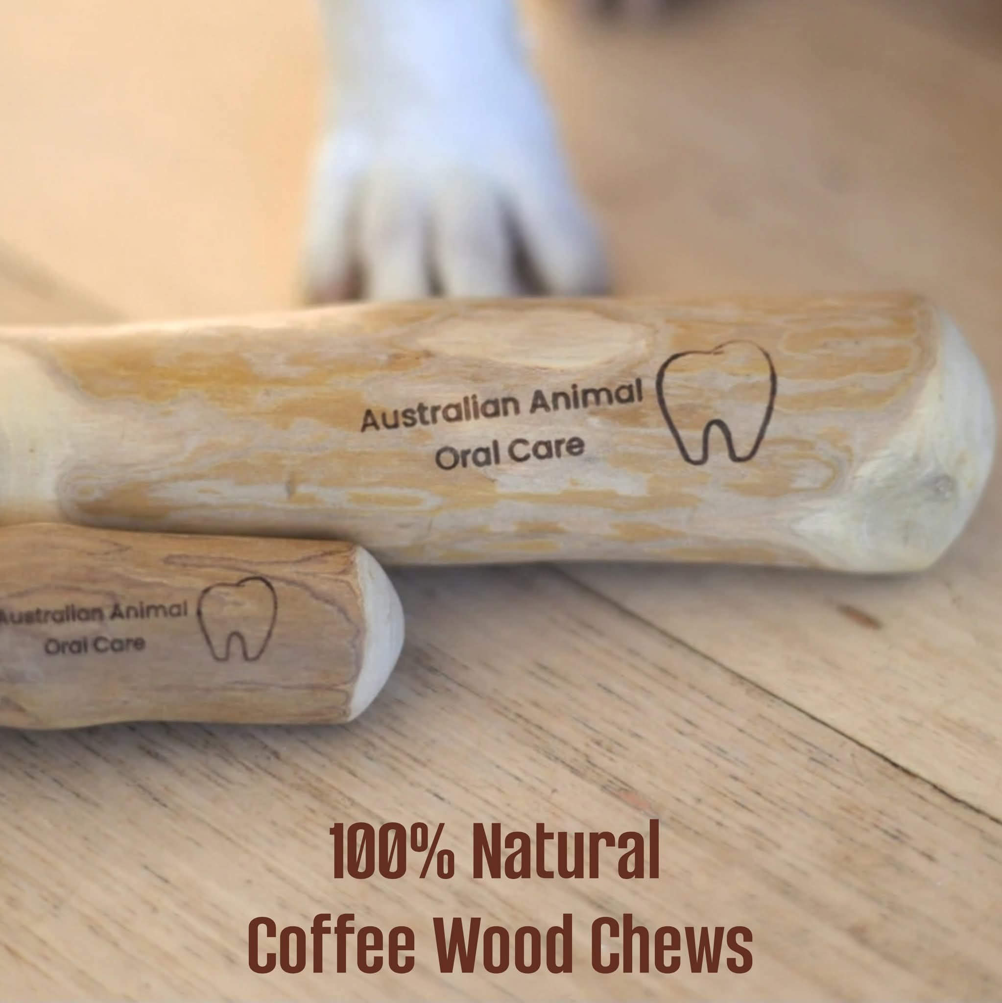 Dog Chewing Coffee Wood Dental Chew