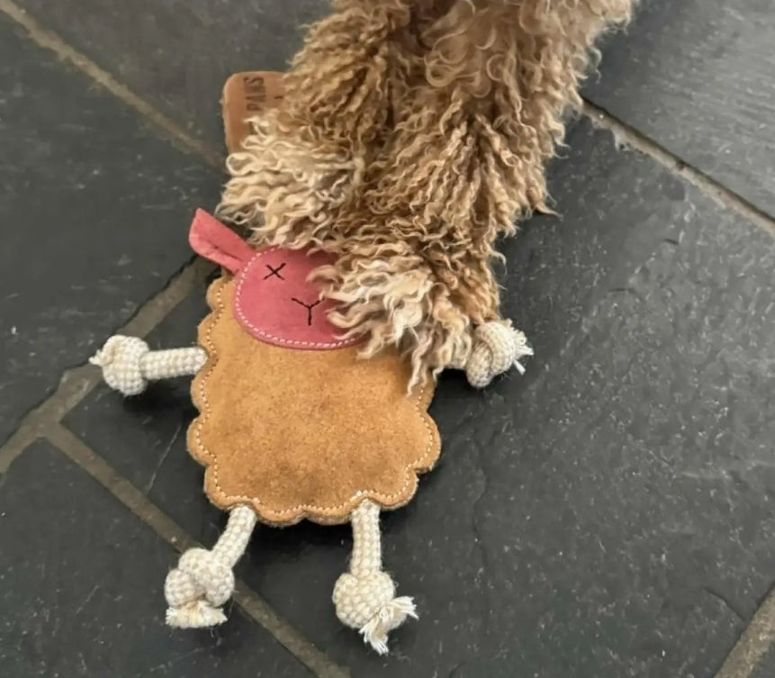 Mary the Lamb Chew Toy