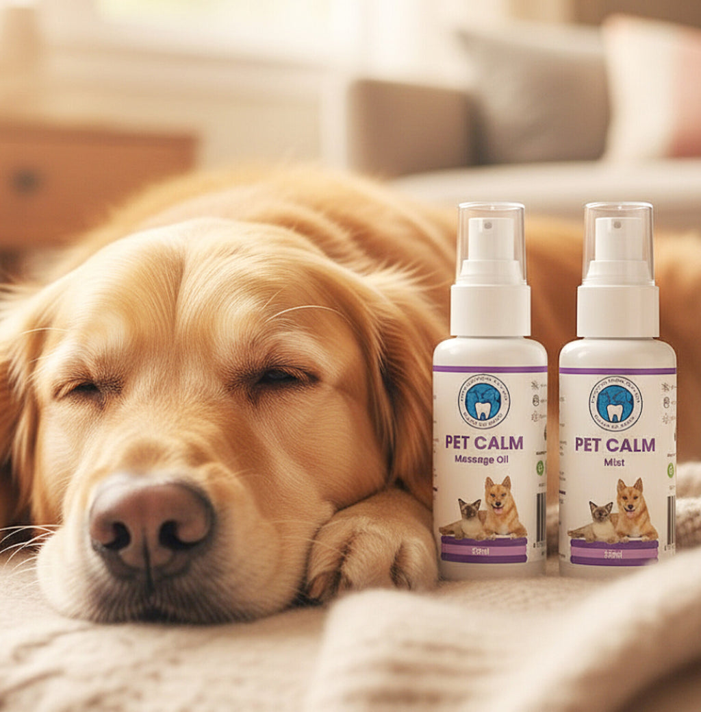 Pet Calm Gift Pack