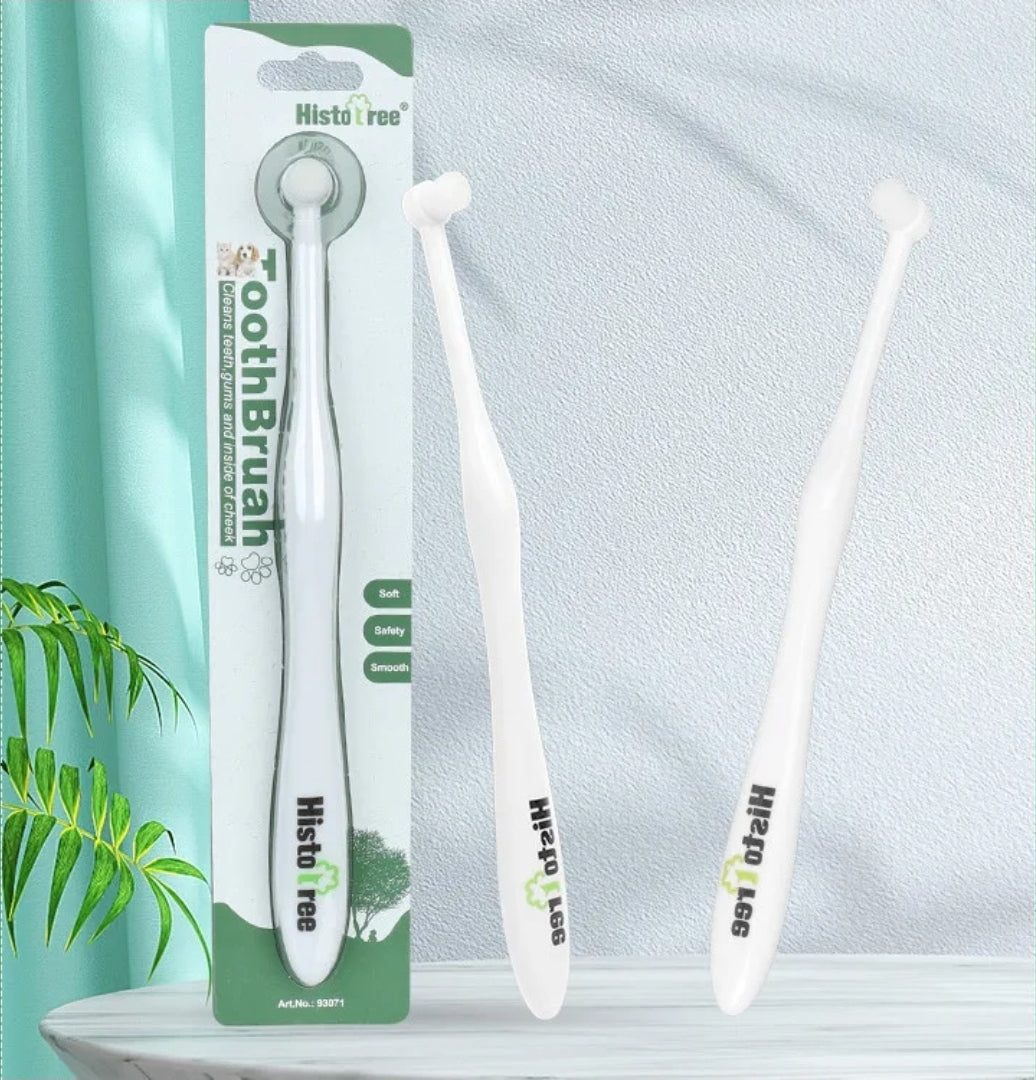 Small round head toothbrush