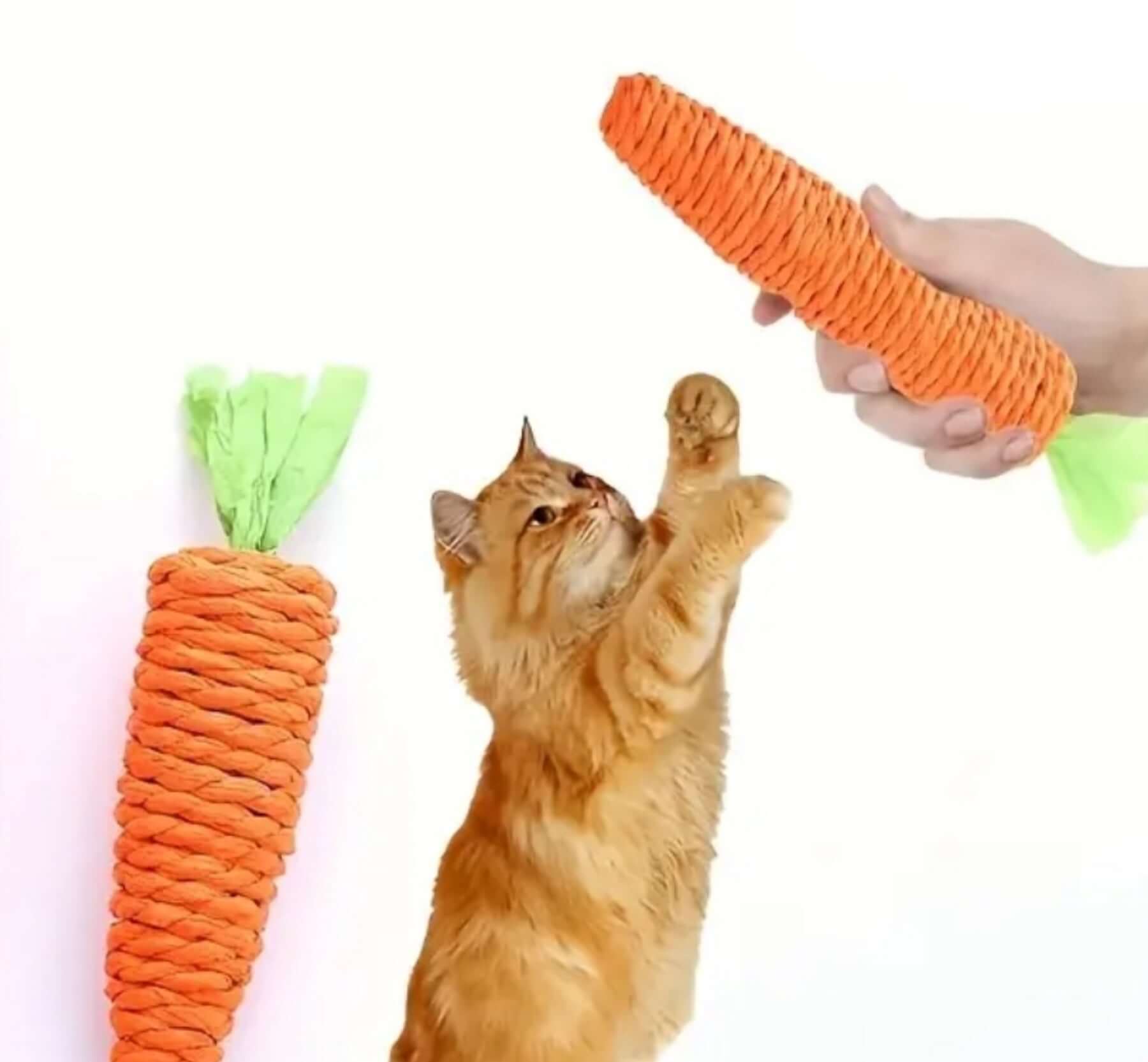 Cat Toothbrush - Round head