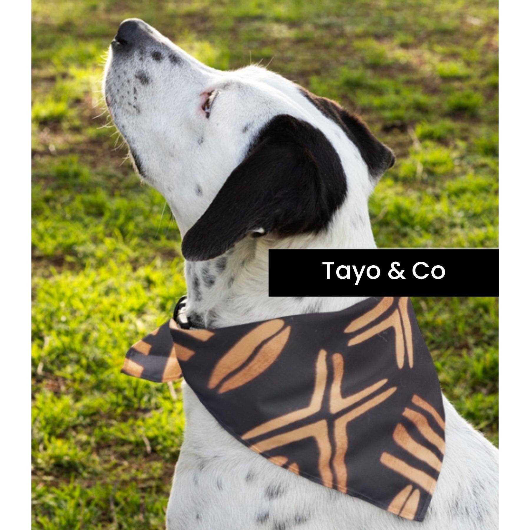 African Dog Bandana