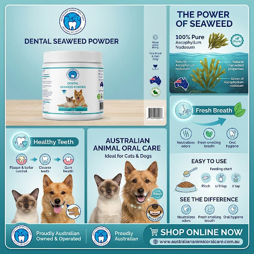 Dental Seaweed Powder -  Ascophyllum Nodosum