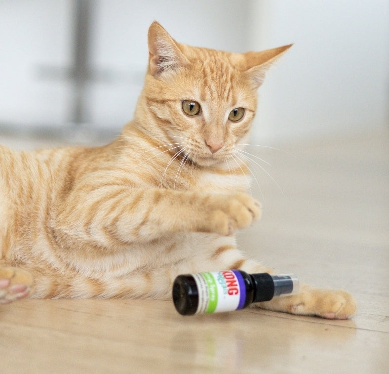 Catnip Spray