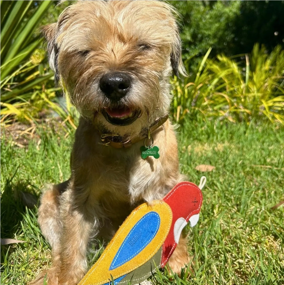 Rick the Rosella Chew Toy