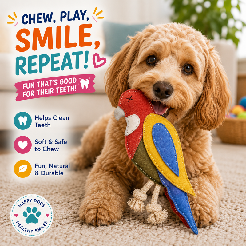 Dental Chew Toy
