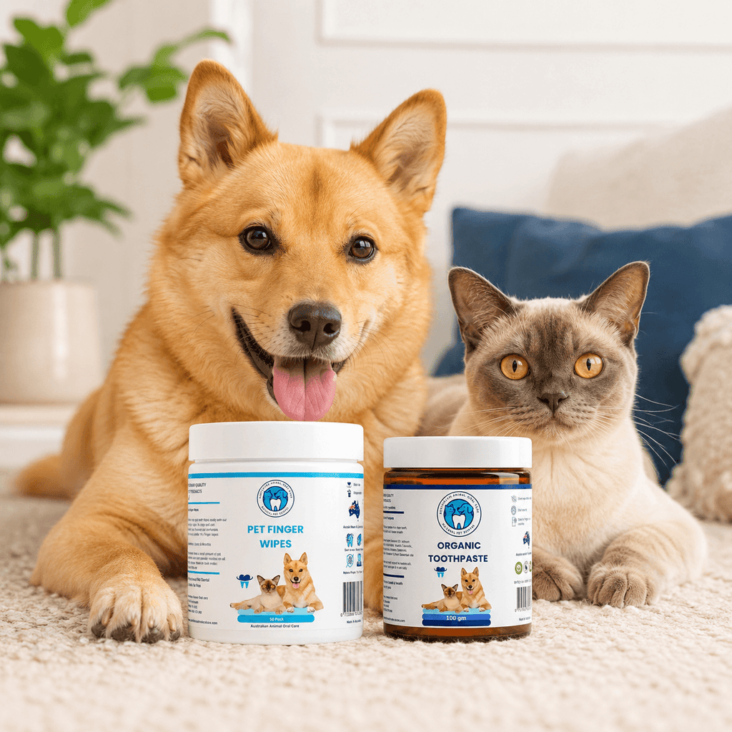 Finger Wipes and Toothpaste with pets