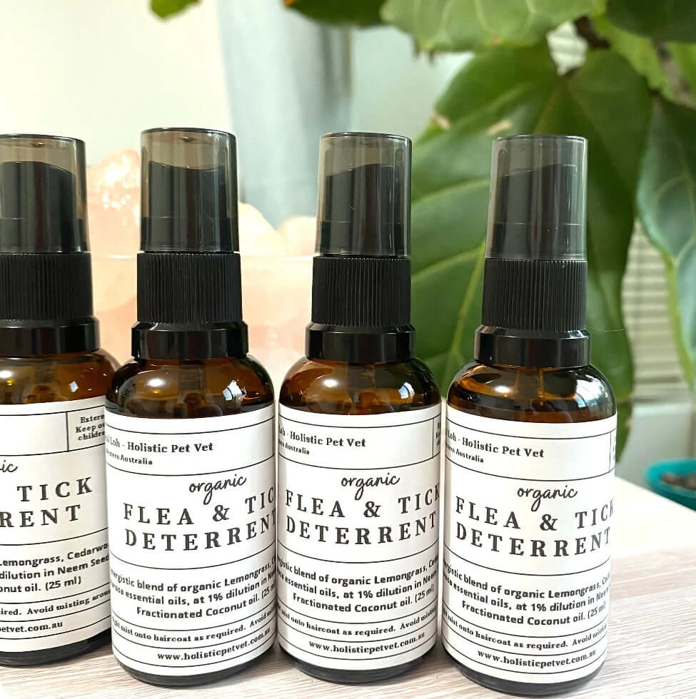Organic Tick & Flea Remedy
