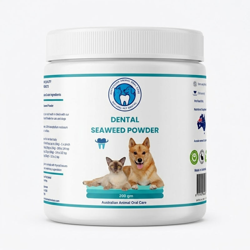Dental Seaweed Powder