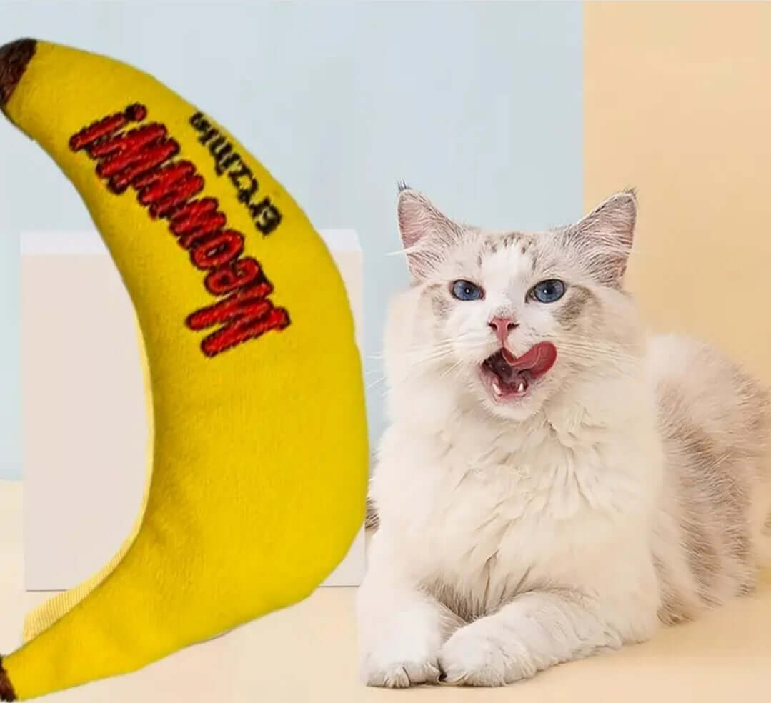 Banana Cat Nip toy for Cats