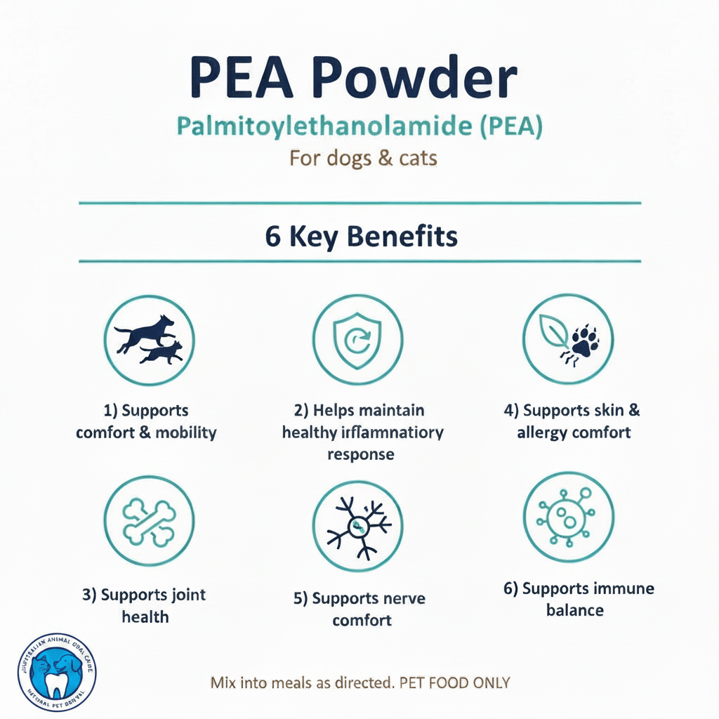 Benefits of PEA Powder 