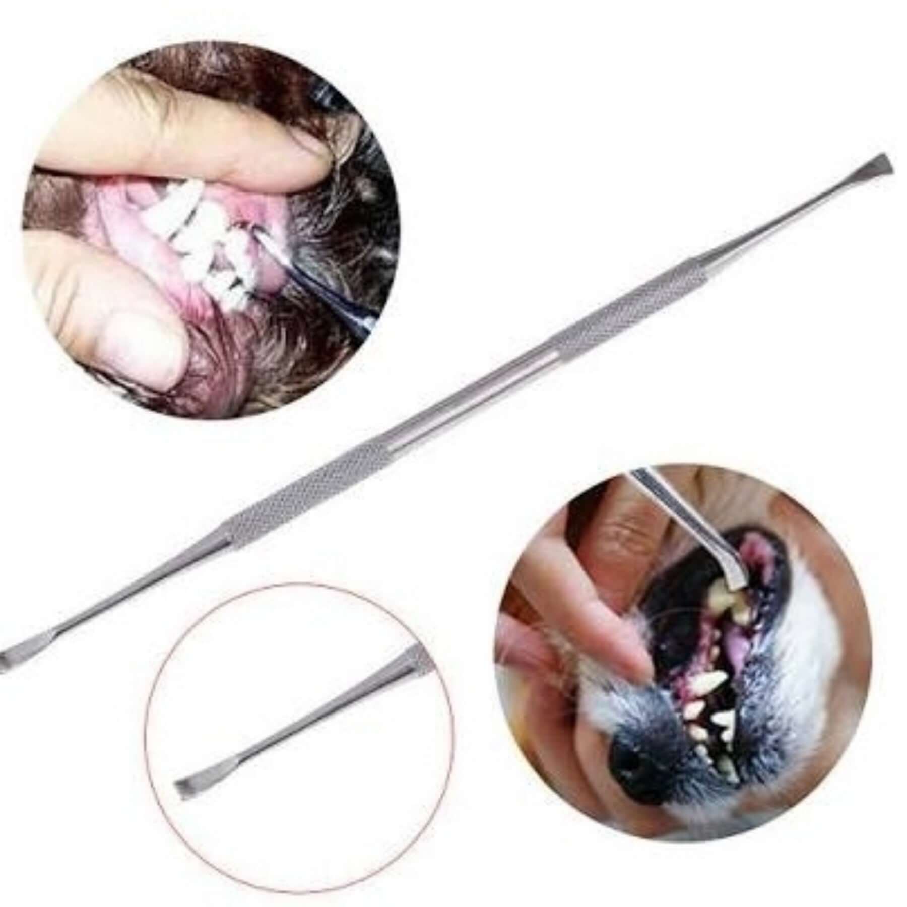 A dental scaler with flat edge, made of stainless steel, measuring 8.7 cm in length.