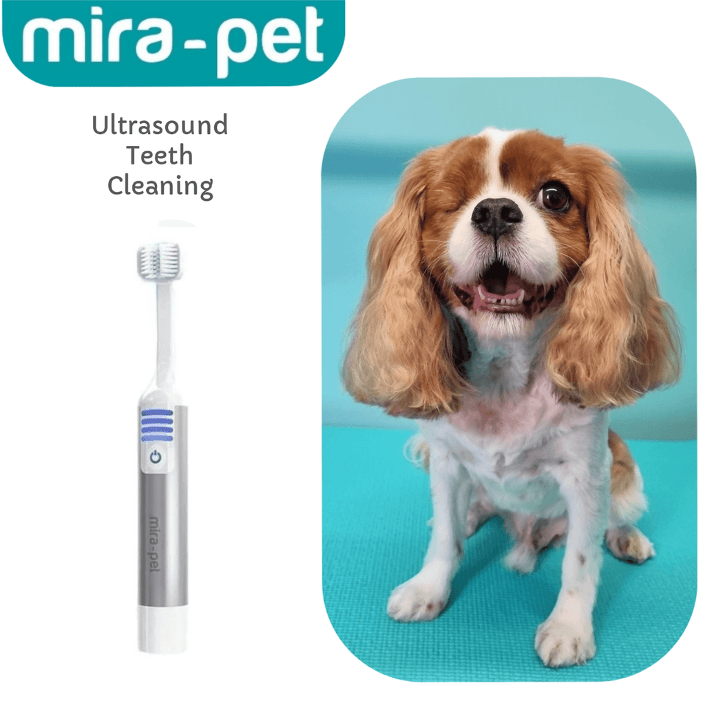 Mira Pet Professional Starter Kit