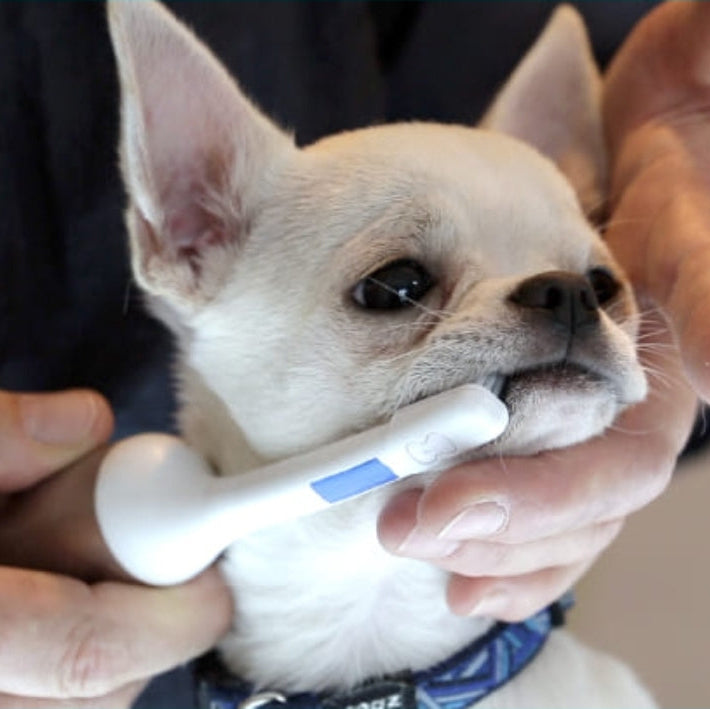 Using Mirapet Ultrasound 