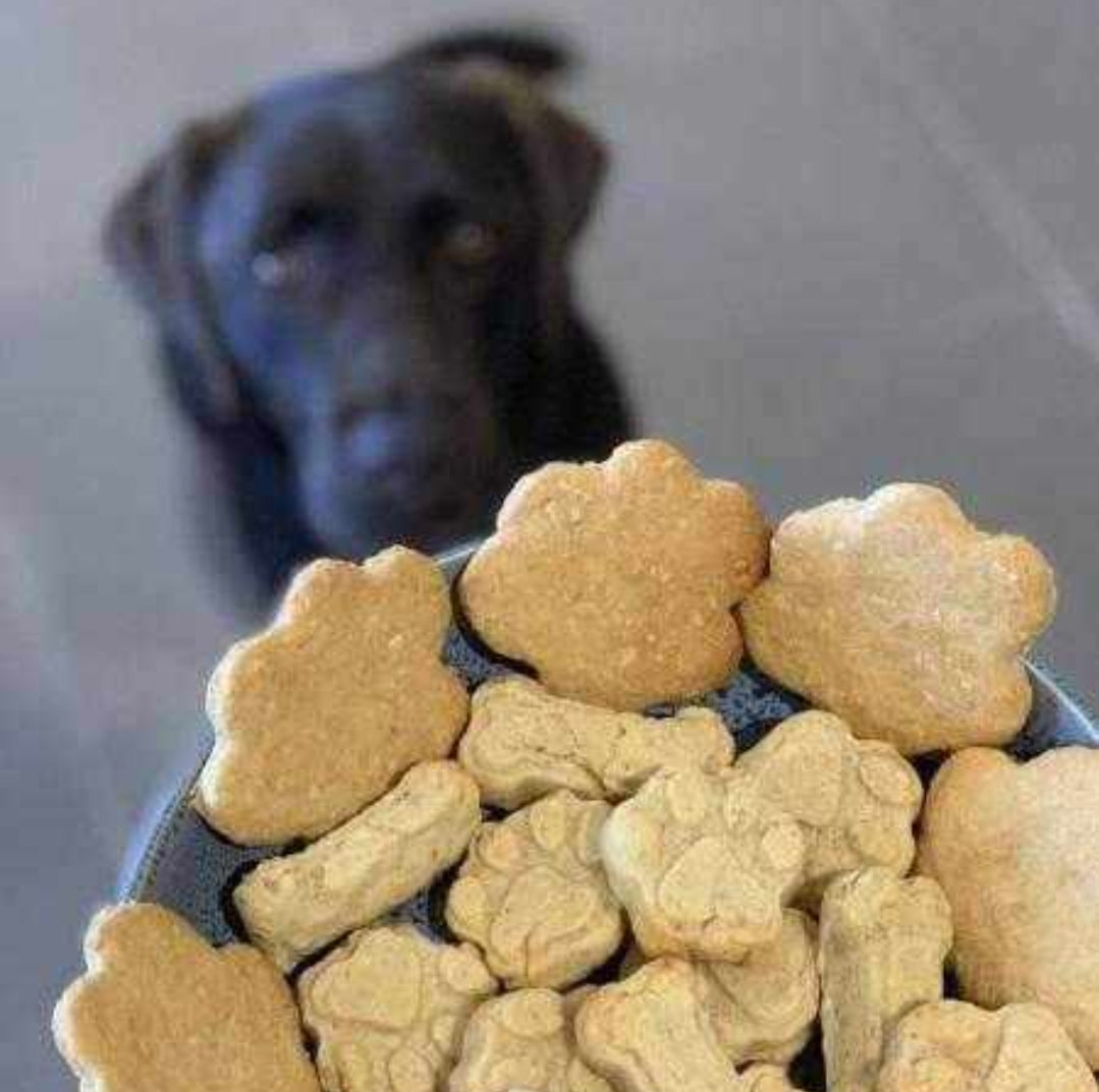 Paws and Bone Silicon Mould