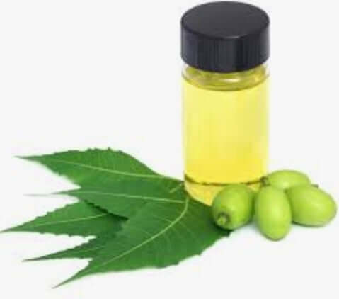 Organic Neem Oil Spray