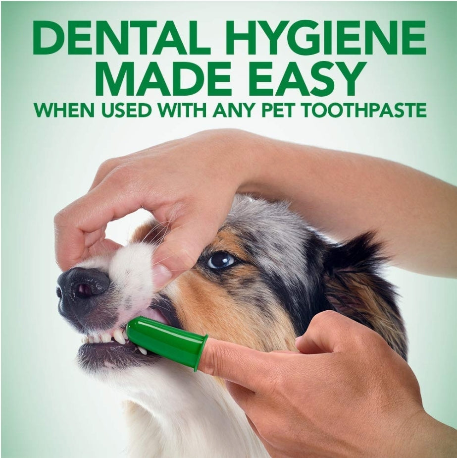 Using Pet Finger Toothbrush