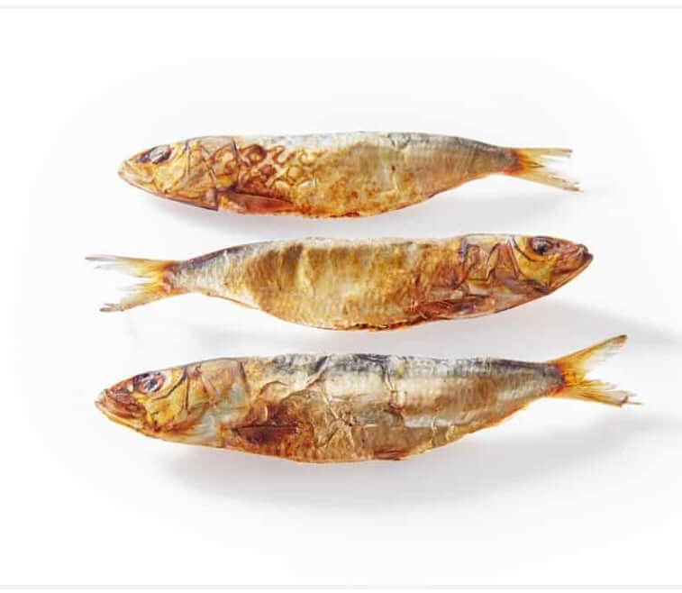 Sardine Bites