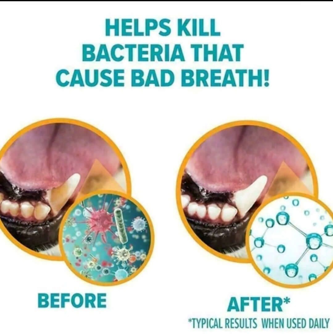 Dental bacteria infograph 