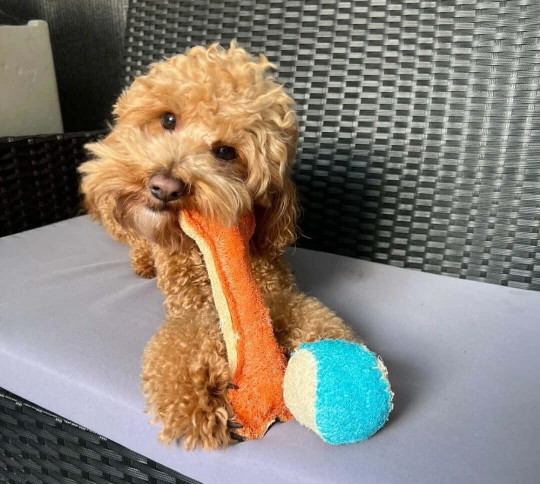 Dog Chewing Dental Loofah Bone