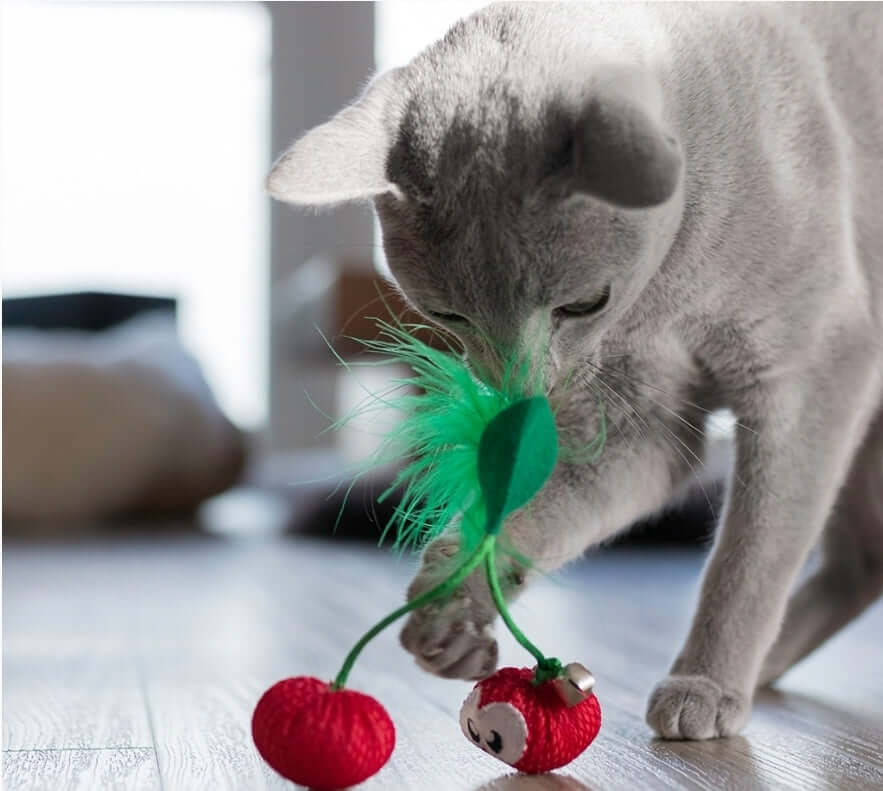 Cat Catnip Cherries