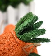 Dental Carrot Toy Loofah Chew