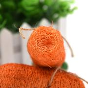 Dental Carrot Toy Loofah Chew